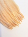 Východoevropské vlasy k prodlužování vlasů, světlá blond, 45-50cm VEHEN s.r.o.
